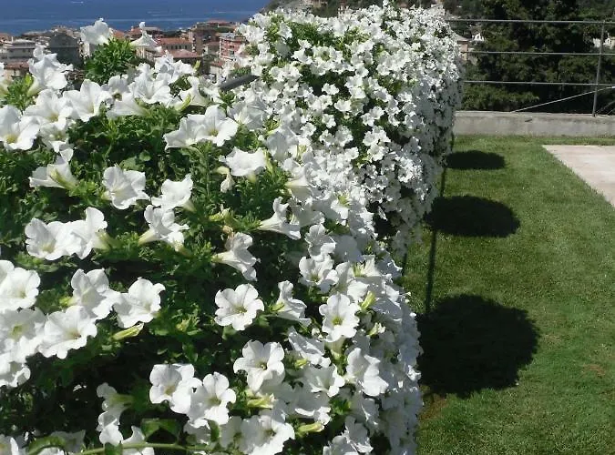 Il Corbezzolo - * Levanto