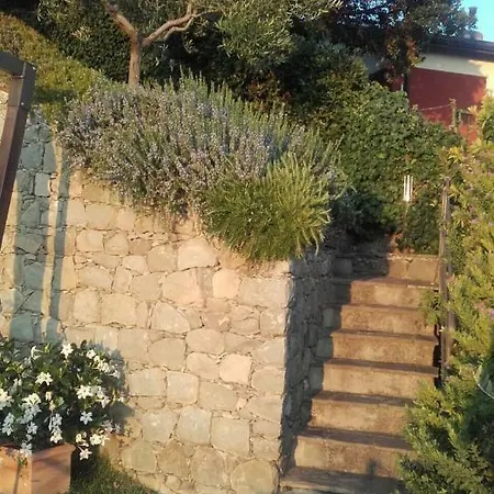 Il Corbezzolo -